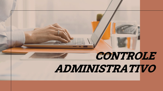 Aplicação de Programação VBA para Controle Administrativo