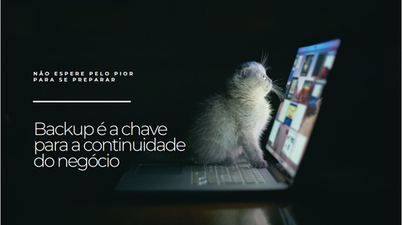 A importância de um bom Plano de Backup